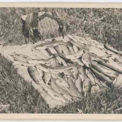 Print, Photographic