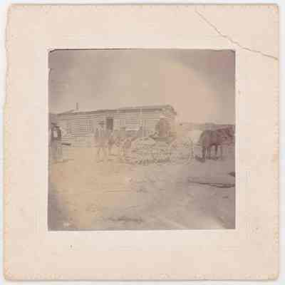 Print, Photographic