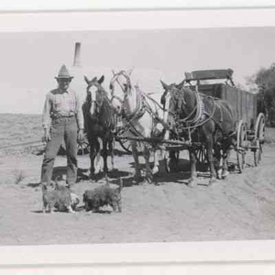 Print, Photographic