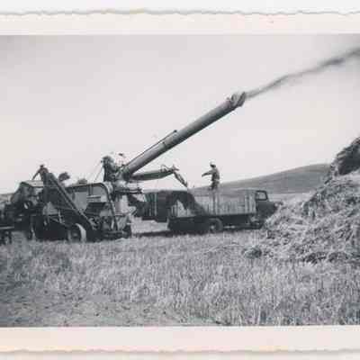 Print, Photographic