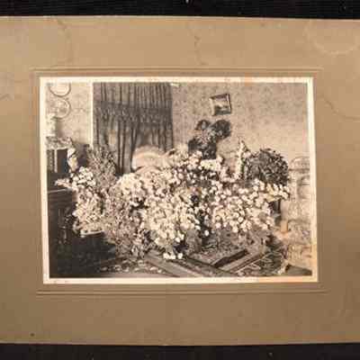 Print, Photographic