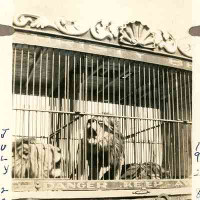 Photograph