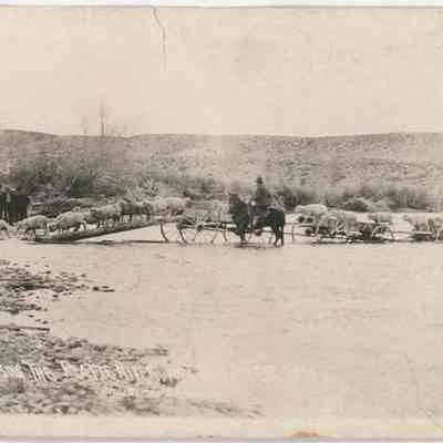 Postcard