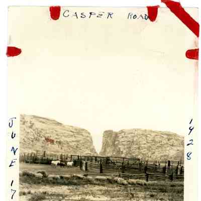 Photograph