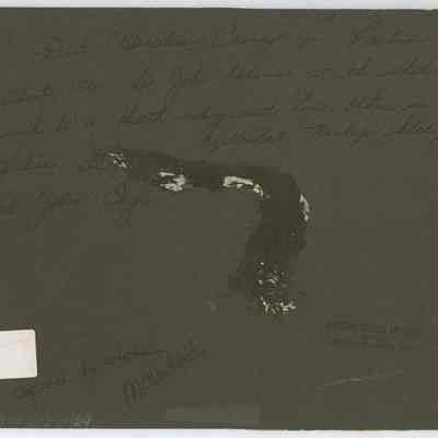Print, Photographic