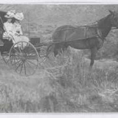 Print, Photographic