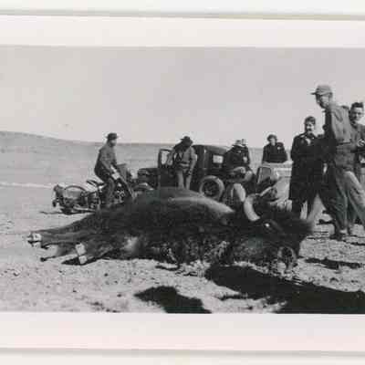 Print, Photographic