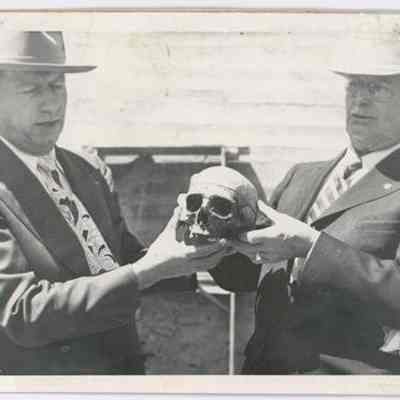 Print, Photographic