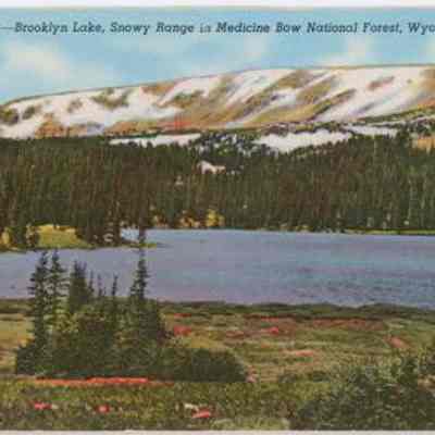 Postcard