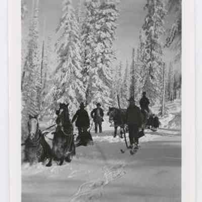 Print, Photographic