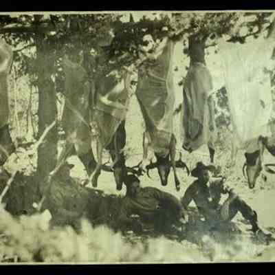 Print, Photographic