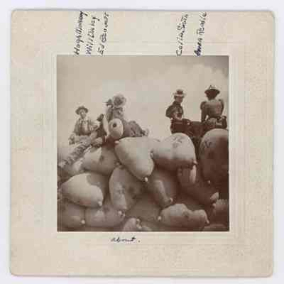 Print, Photographic