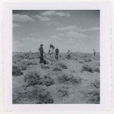 Print, Photographic