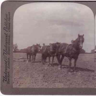 Stereograph