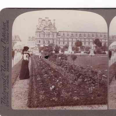 Stereograph