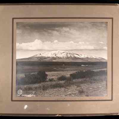 Print, Photographic