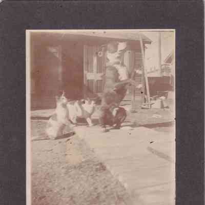 Photograph