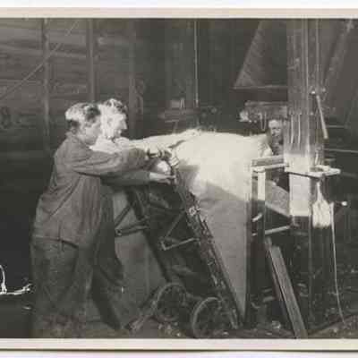 Print, Photographic