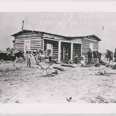 Print, Photographic