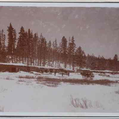 Print, Photographic