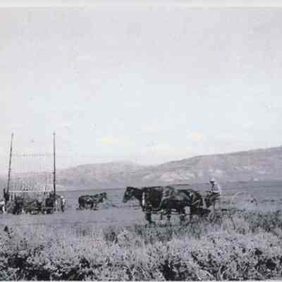 Print, Photographic
