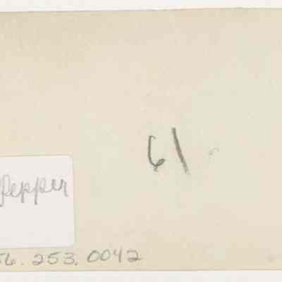 Print, Photographic