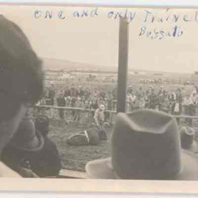 Print, Photographic