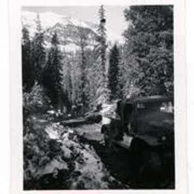 Print, Photographic