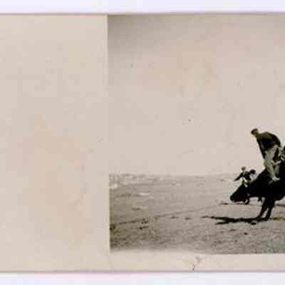 Postcard