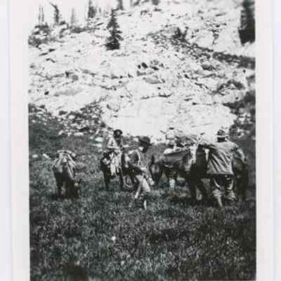 Print, Photographic