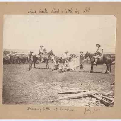 Print, Photographic