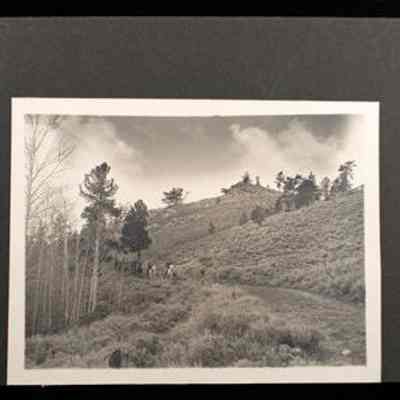 Print, Photographic