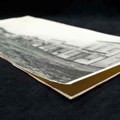 Print, Photographic