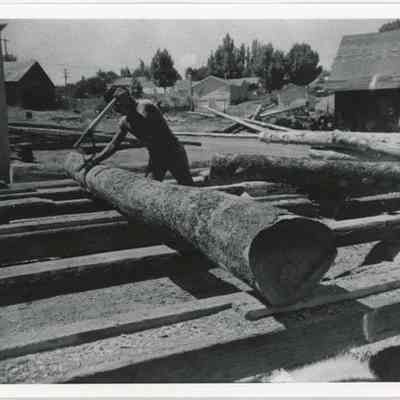 Print, Photographic