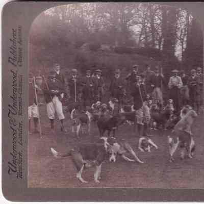 Stereograph