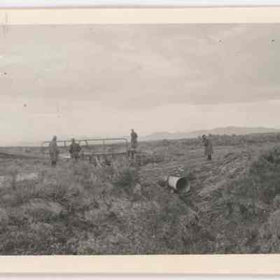 Print, Photographic
