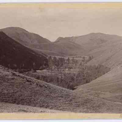 Print, Photographic