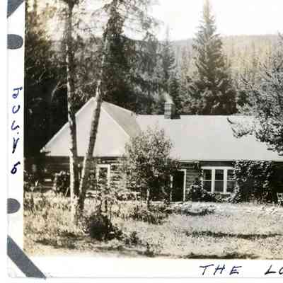 Photograph