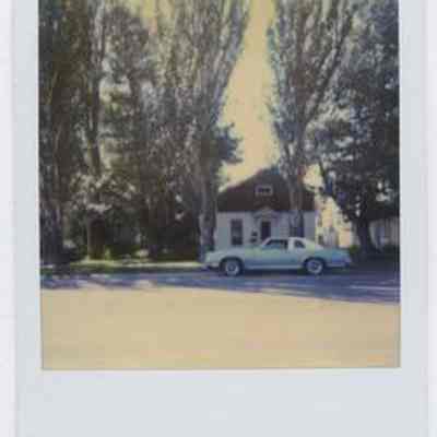 Print, Photographic