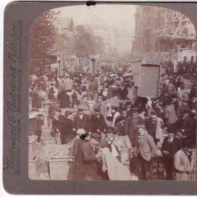 Stereograph