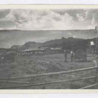 Print, Photographic