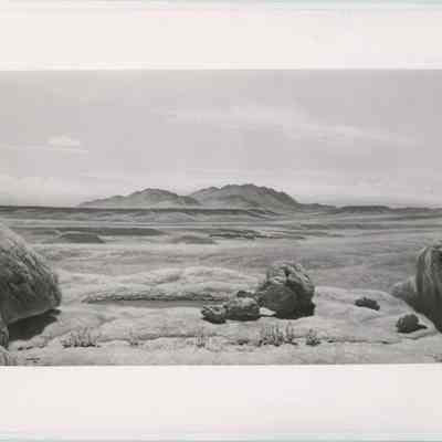 Print, Photographic