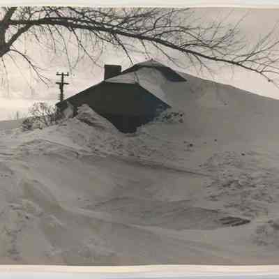 Print, Photographic