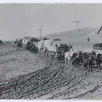 Postcard