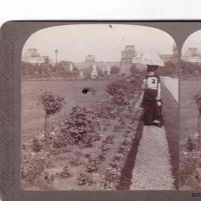 Stereograph