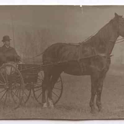 Print, Photographic