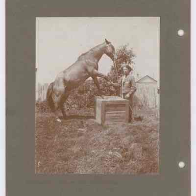 Print, Photographic