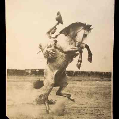 Print, Photographic