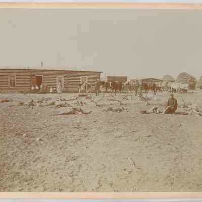 Print, Photographic