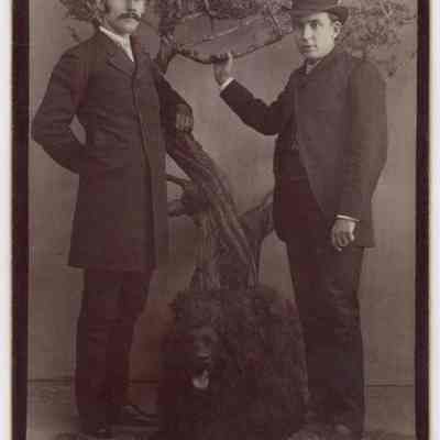 Photograph, Cabinet